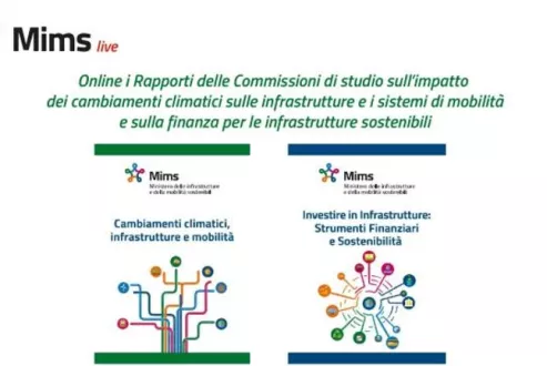 Rapporti della commissioni di studio Mims